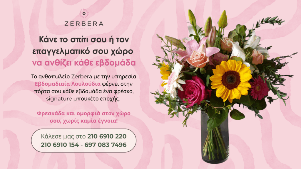Το ανθοπωλείο Zerbera στους Αμπελόκηπους με την υπηρεσία Εβδομαδιαία Λουλούδια φέρνει στην πόρτα σου κάθε εβδομάδα ένα φρέσκο, signature μπουκέτο εποχής.