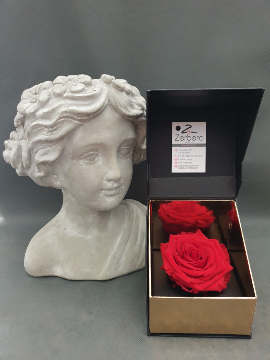 Forever Roses Zerbera Online Αγορά & Αποστολή λουλουδιών