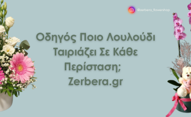 Οδηγός επιλογής λουλουδιών για κάθε περίσταση με προτάσεις από το Zerbera.gr