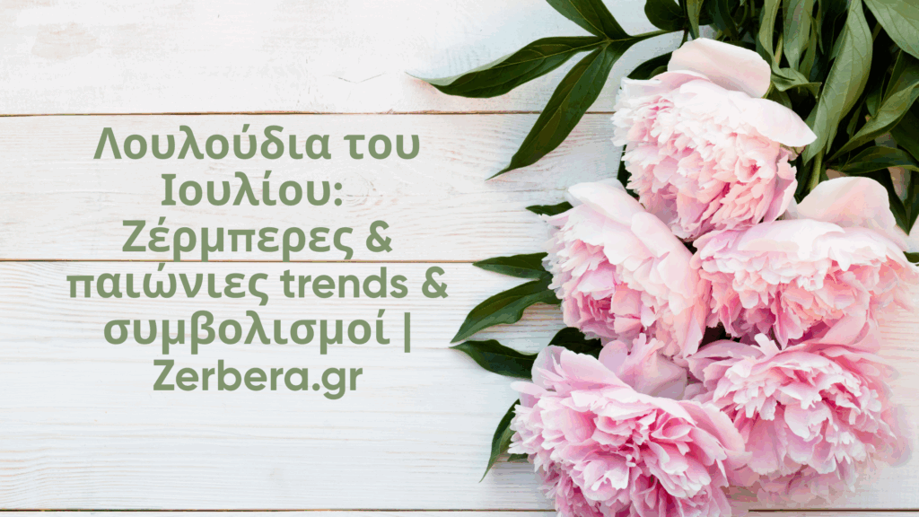 Λουλούδια του Ιουλίου. Δες όλα τα trends και τους συμβολισμούς στο zerbera.gr