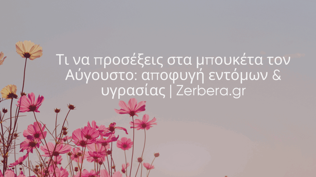 Τι να προσέξεις στα μπουκέτα τον Αύγουστο αποφυγή εντόμων & υγρασίας Zerbera.gr