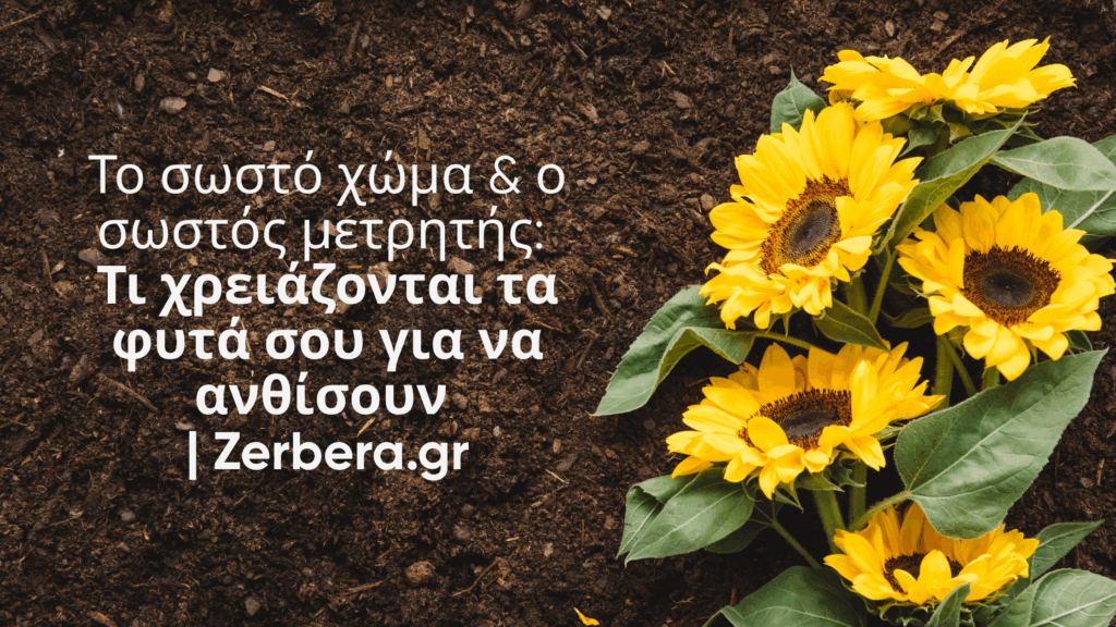 Ηλιοτρόπια πάνω σε φρέσκο χώμα, εξοπλισμός φροντίδας φυτών από το Zerbera.gr