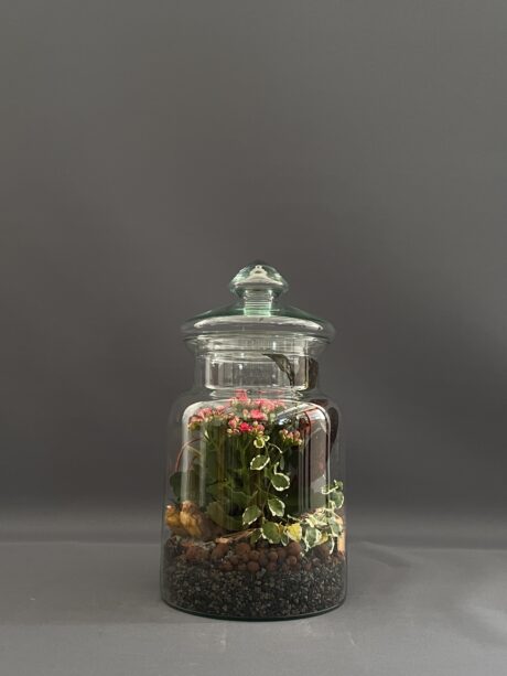 TERRARIUM LIFE