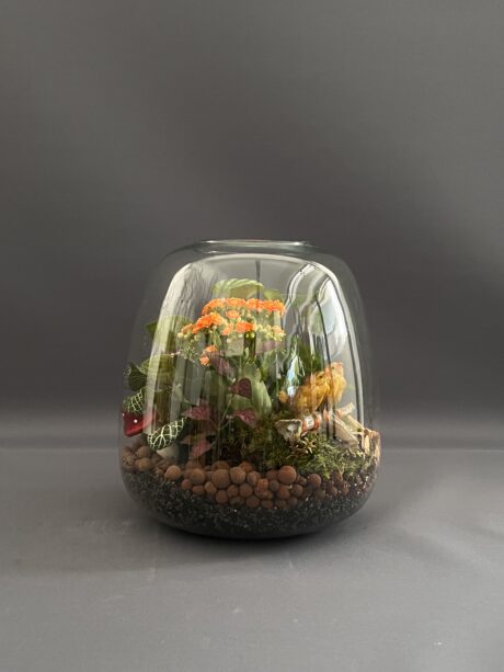 TERRARIUM LIFE