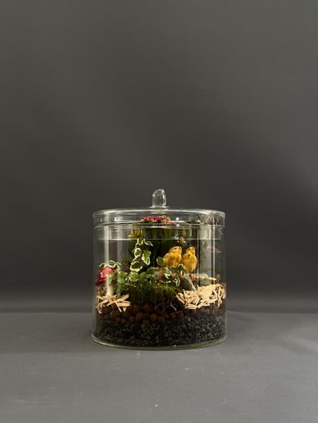 TERRARIUM LIFE