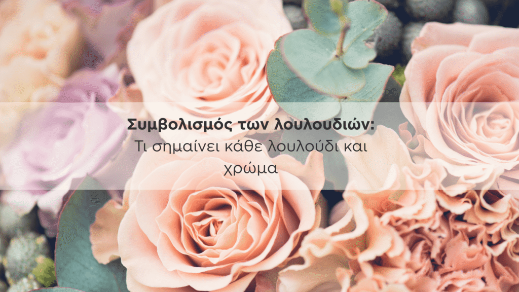 Ροζ και λιλά τριαντάφυλλα σε κοντινό πλάνο με τίτλο “Συμβολισμός των λουλουδιών”.