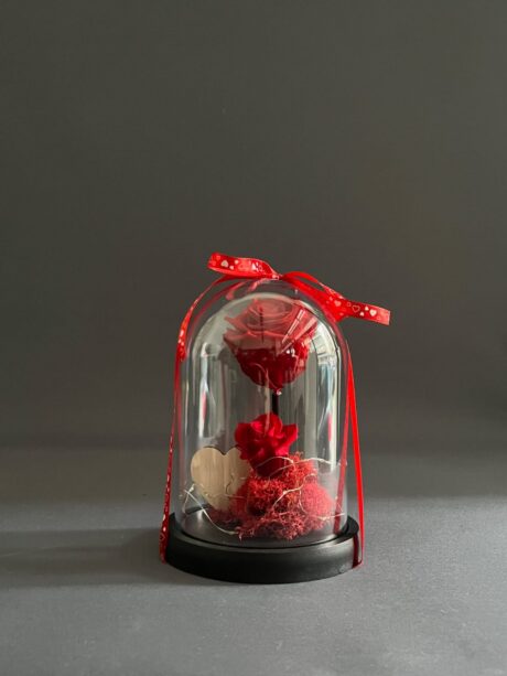 FOREVER ROSE ΣΕ ΚΑΜΠΑΝΑ ΜΕ LED