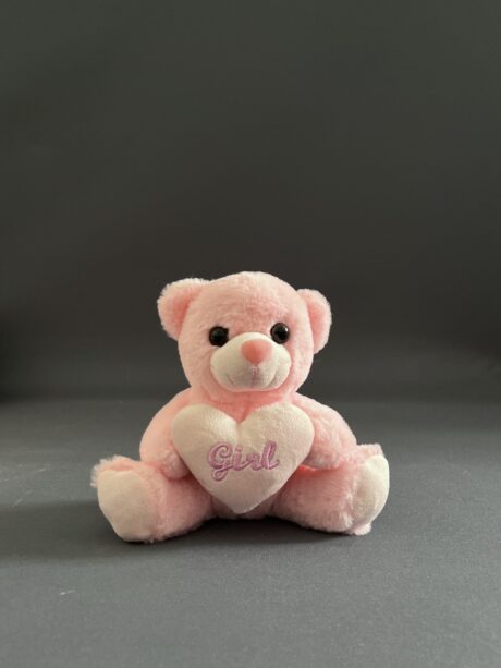 Teddy bear for girl
